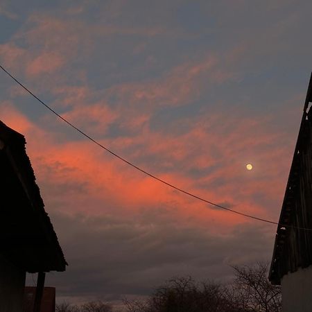 Готель Casa Leny Tohanu Nou Екстер'єр фото