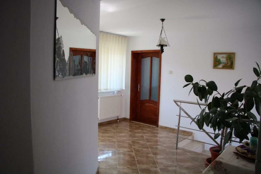 Готель Casa Leny Tohanu Nou Екстер'єр фото